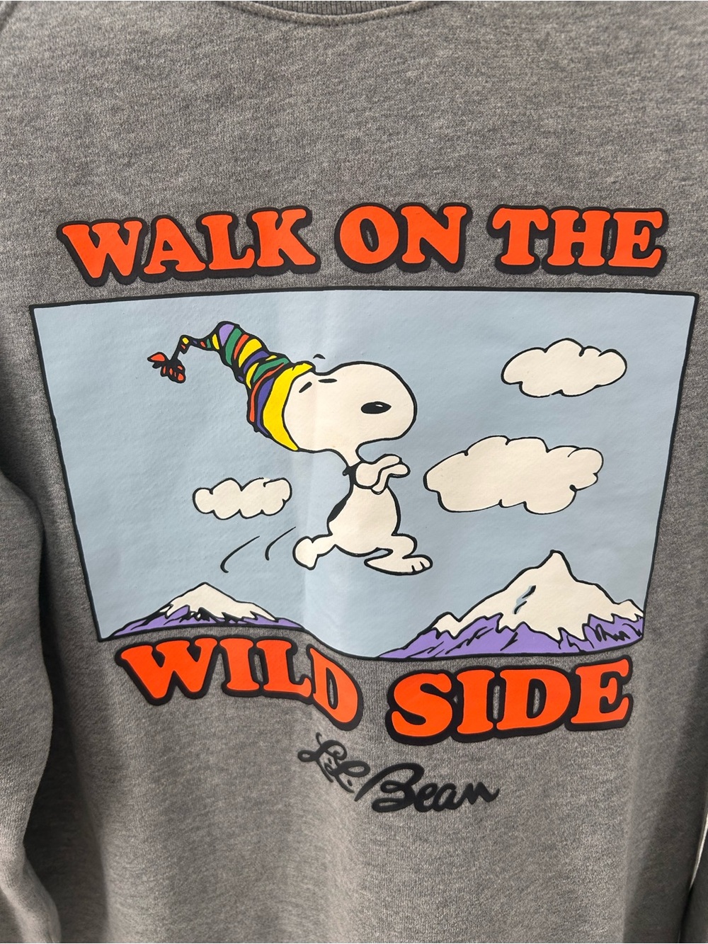 LL Bean x Peanuts Snoopy Sweatshirt Small Gray - Picture 2 of 8